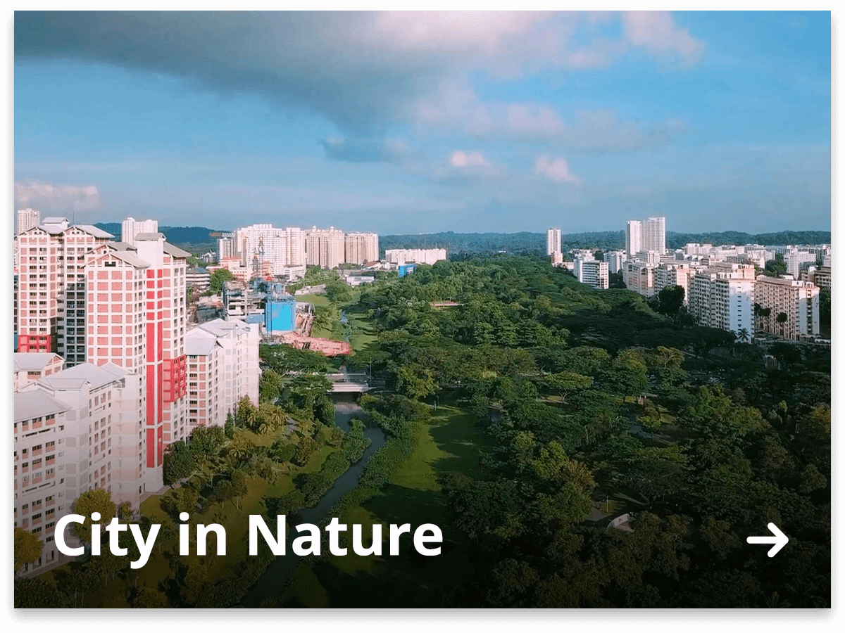 City in Nature