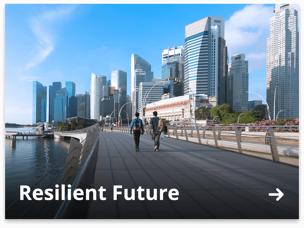 Resilient Future